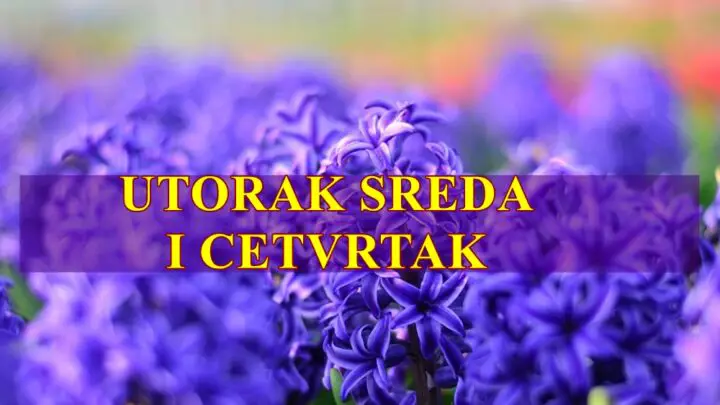 Evo detaljnog horoskopa za utorak  srijedu  i četvrtak  za sve znake Zodijaka, sa posebnim fokusom na ljubav, posao, zdravlje i unutrašnji balans