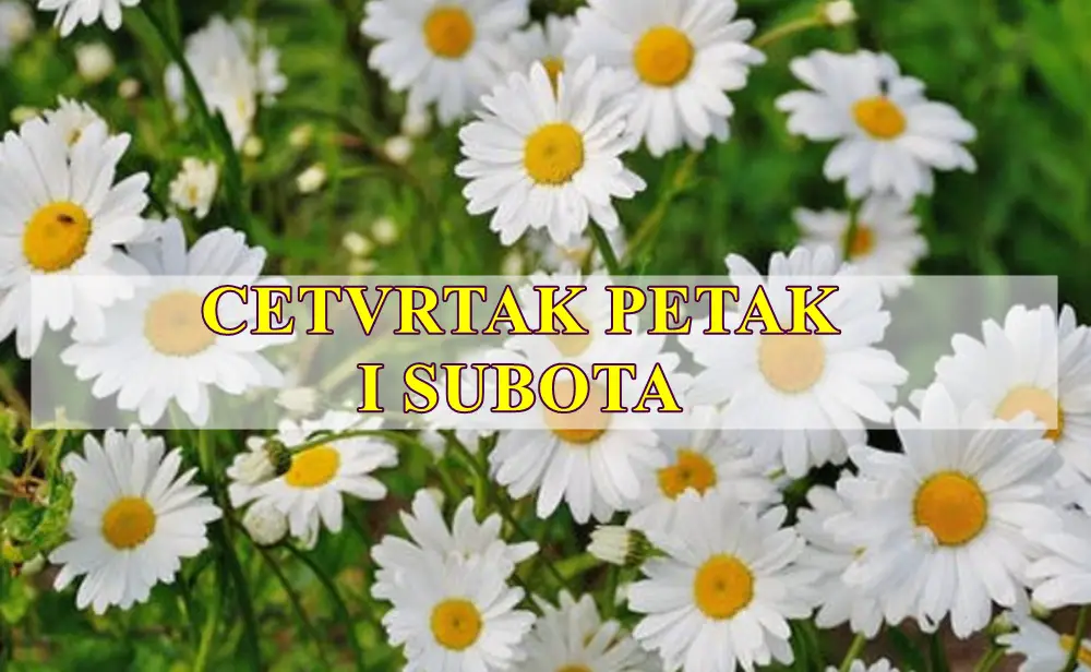Četvrtak petak i subota saznajte opsirno sta vas ocekuje. Četvrtak petak i subota saznajte opsirno sta vas ocekuje.