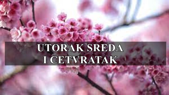 Utorak sreda i cetvrak VODOLIJA ima potrebu za slobodom a Jarac emocionalno blokiran.