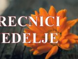Zrače energijom, privlače uspeh i ljubav, donose svetlost gde god se pojave OVAN BIK I LAV!