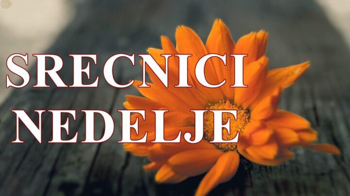 Zrače energijom, privlače uspeh i ljubav, donose svetlost gde god se pojave OVAN BIK I LAV!