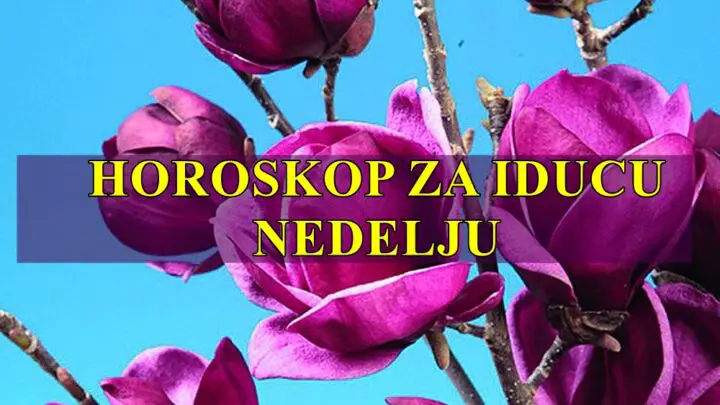 Evo detaljnog, opširnog i ličnog horoskopa za sve znakove zodijaka za nedelju od 14. do 20. aprila 2025!