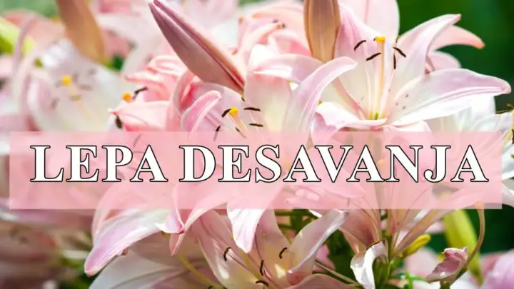 Neverovatno lepa desavanja stizu ovim znacima zodijaka.