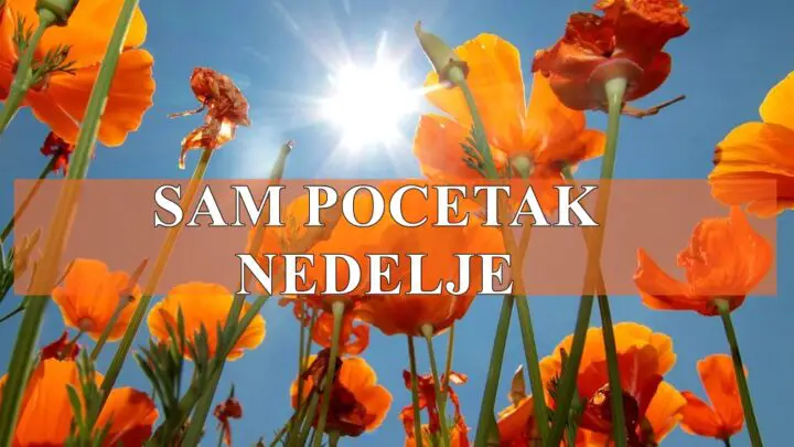 Evo detaljnog horoskopa za sam početak nedelje (ponedeljak i utorak) za sve znakove Zodijaka!