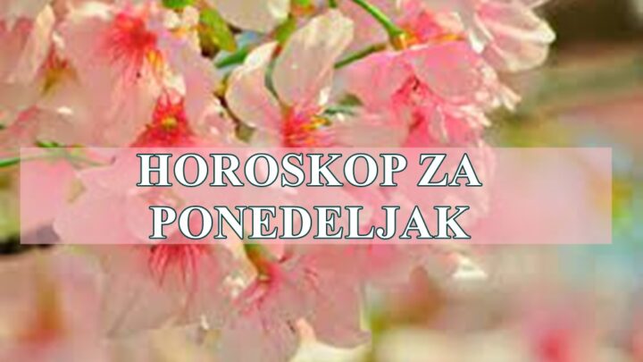 Vazno je da kazemo da nema nimalo sumnje da ce ovaj dan doneti srecu!