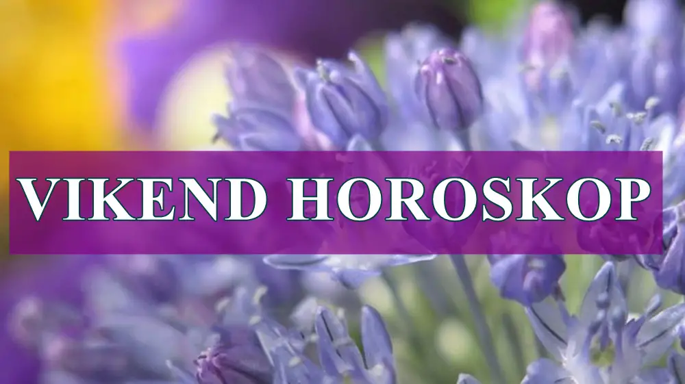 Vikend horoskop za sve znake zodijaka . Vikend horoskop za sve znake zodijaka .