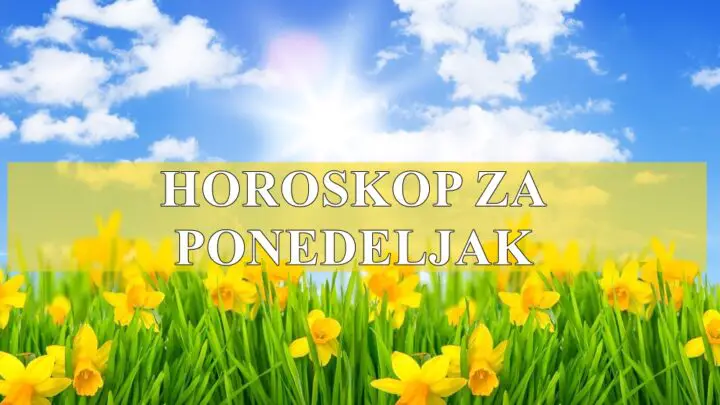 Jarac disiciplinovan i odlucan resava sve dileme koje ima.