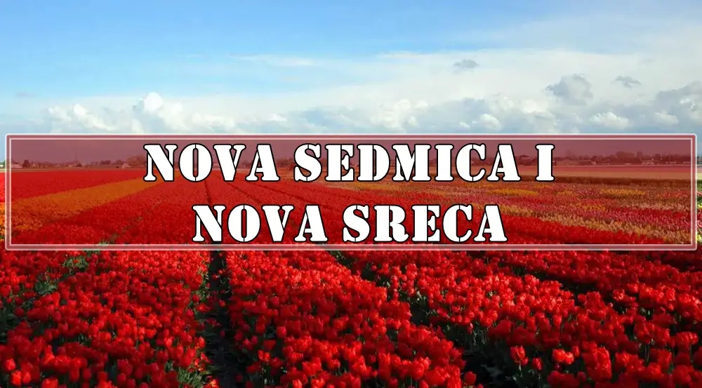 Nova sedmica i nova sreca , za sve znake zodijaka. Nova sedmica i nova sreca , za sve znake zodijaka.