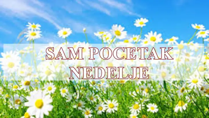 🔮 Početak nedelje – Horoskop za ponedeljak i utorak za sve znakove