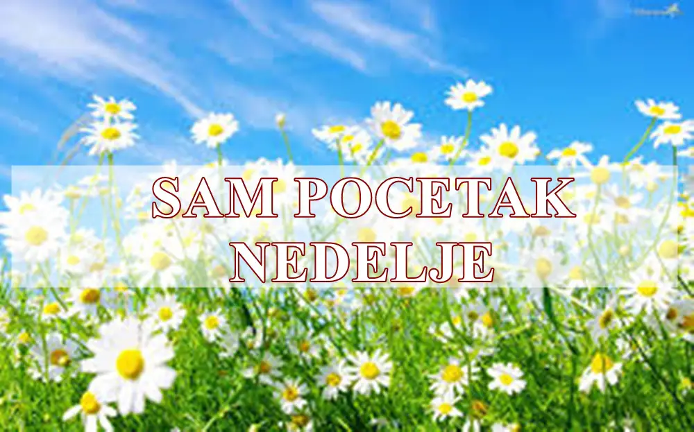 🔮 Početak nedelje – Horoskop za ponedeljak i utorak za sve znakove