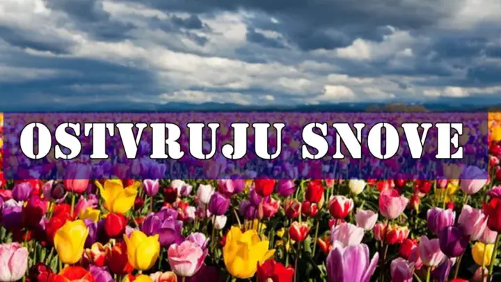 Za DEVICU, VAGU i RAKA, maj 2025. donosi preokret kakav su potajno priželjkivali, ali se nisu usuđivali da poveruju da je moguć.