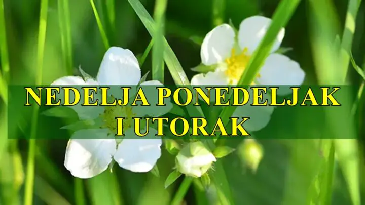 Ponedjeljak i utorak donose romantiku – idealno za nove početke ili obnavljanje stare veze drage Vage.