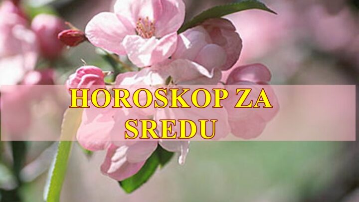 Slobodne Vage mogu upoznati zanimljivu osobu, dok zauzete uživaju u harmoniji sa partnerom.
