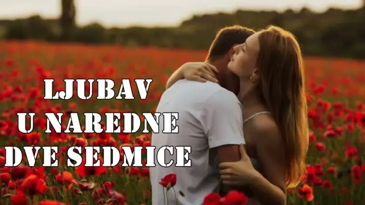 Ljubav u naredne dve sedmice:Lav  Ljubav koja traži balans između ega i predanosti.