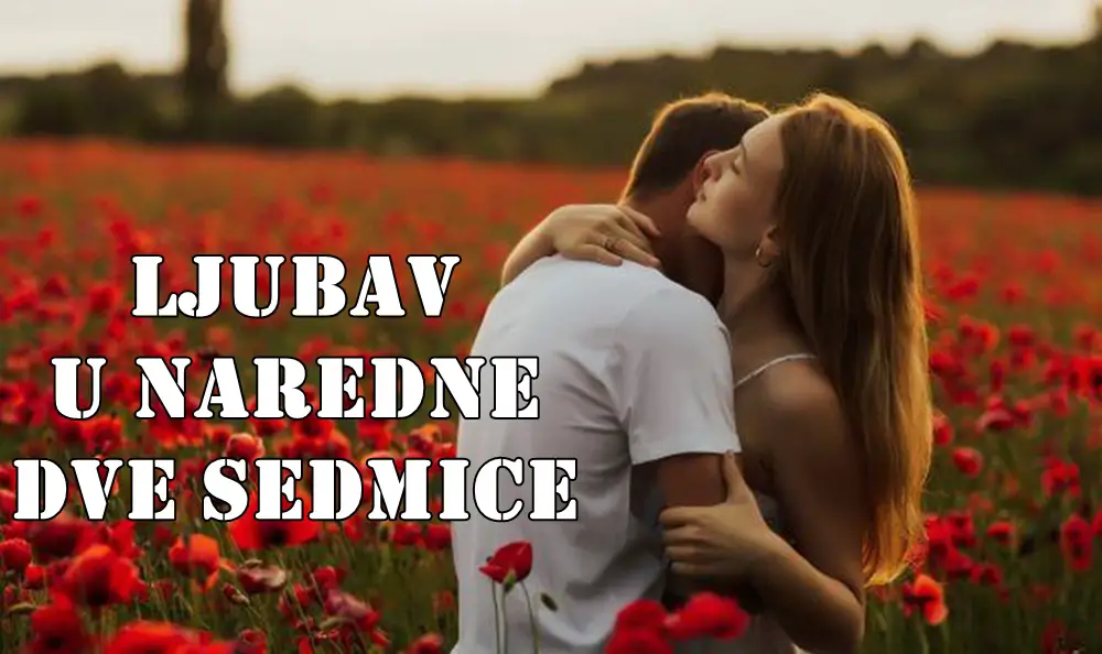 Ljubav u naredne dve sedmice:Lav Ljubav koja traži balans između ega i predanosti. Ljubav u naredne dve sedmice:Lav Ljubav koja traži balans između ega i predanosti.