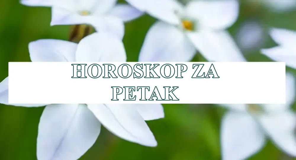 ♌ Lav Danas ti život nudi pozornicu – ali pažljivo biraj predstavu. ♌ Lav Danas ti život nudi pozornicu – ali pažljivo biraj predstavu.