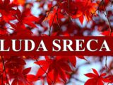Luda sreca ceka ove znake zodijka.
