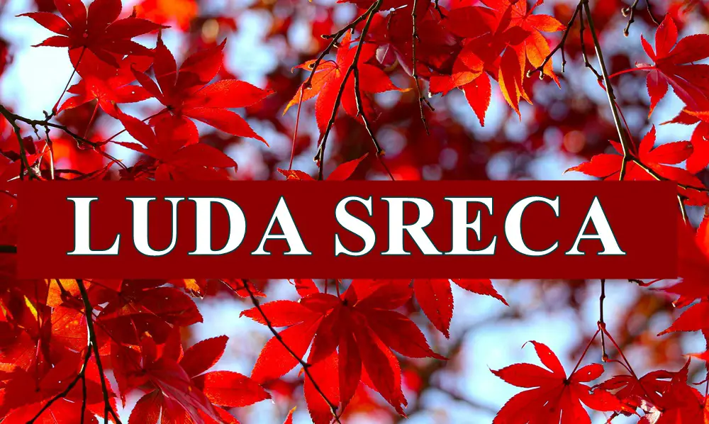 Luda sreca ceka ove znake zodijka. Luda sreca ceka ove znake zodijka.