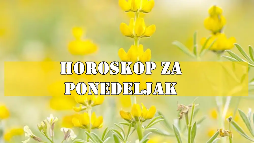 Danas ocekujte neocekivano! Danas ocekujte neocekivano!