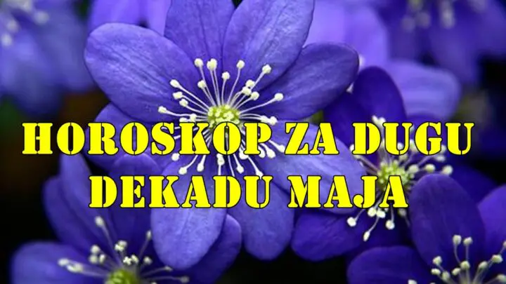 DRUGA DEKADA MAJA:Druga dekada maja 2025. je vreme karmičkih izbora, prizemljenja i građenja ljubavi i sigurnosti.