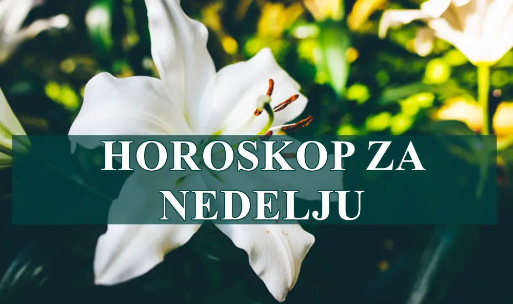 Horoskop za nedelju za sve znake zodijaka. Horoskop za nedelju za sve znake zodijaka.