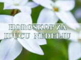 Evo veoma opširnog, sudbinskog i emocionalnog horoskopa za sve znake zodijaka za nedelju od 19. do 26. maja 2025.