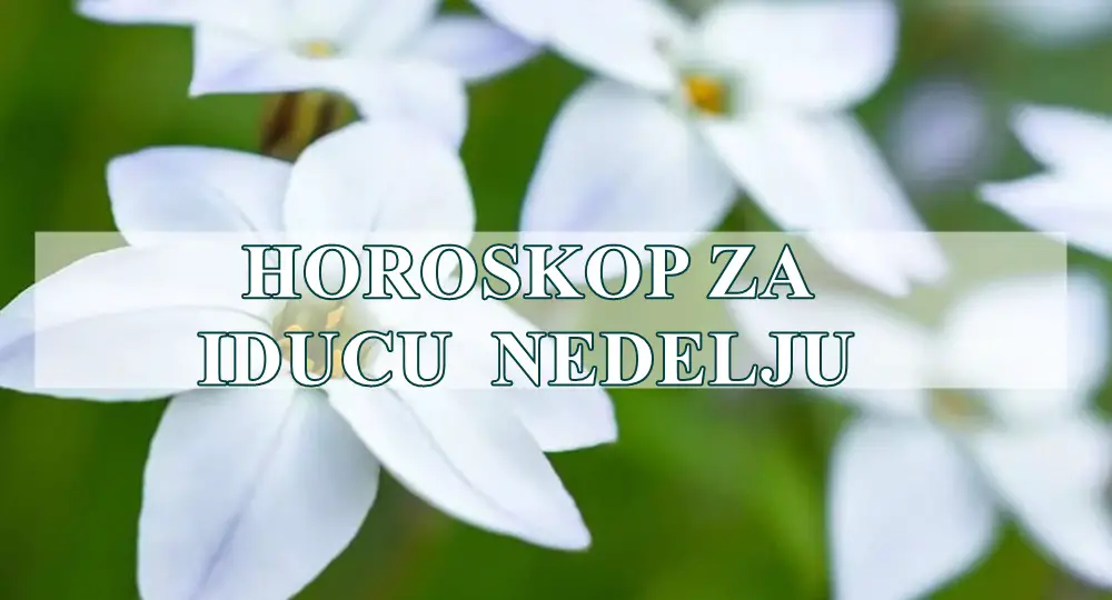 Evo veoma opširnog, sudbinskog i emocionalnog horoskopa za sve znake zodijaka za nedelju od 19. do 26. maja 2025. Evo veoma opširnog, sudbinskog i emocionalnog horoskopa za sve znake zodijaka za nedelju od 19. do 26. maja 2025.