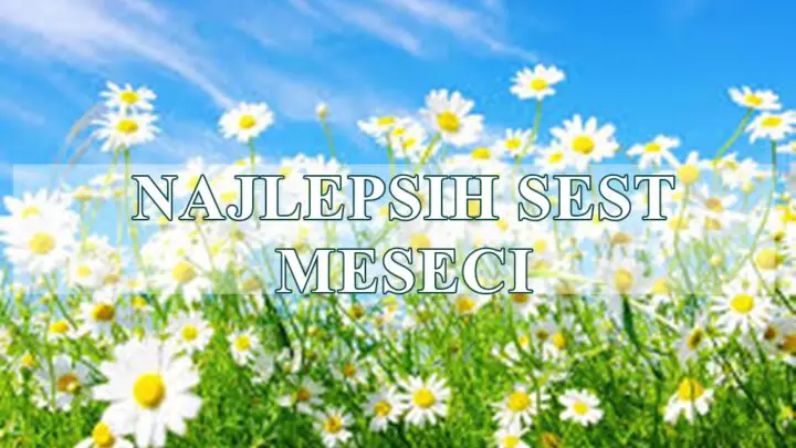 🌟 Počinje najlepših 6 meseci za 5 znakova Zodijaka