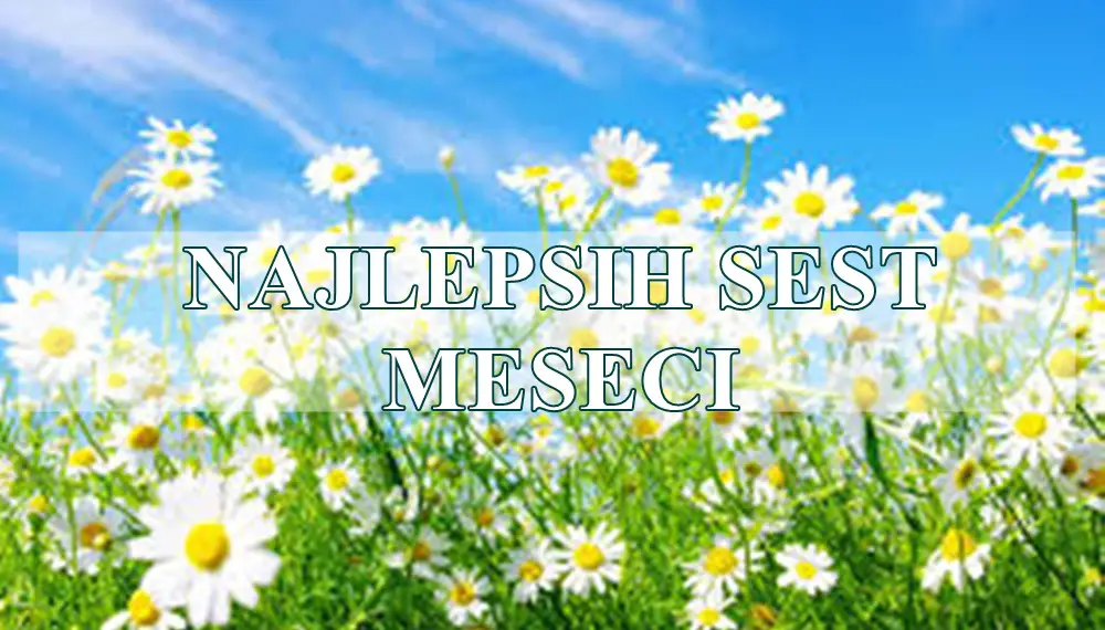🌟 Počinje najlepših 6 meseci za 5 znakova Zodijaka 🌟 Počinje najlepših 6 meseci za 5 znakova Zodijaka