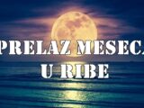  Vodič za uticaj Meseca u Ribama (14. i 15. maj 2025) za sve znakove zodijaka, uključujući emocije, unutrašnja buđenja, karmičke uvide!