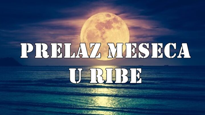  Vodič za uticaj Meseca u Ribama (14. i 15. maj 2025) za sve znakove zodijaka, uključujući emocije, unutrašnja buđenja, karmičke uvide!