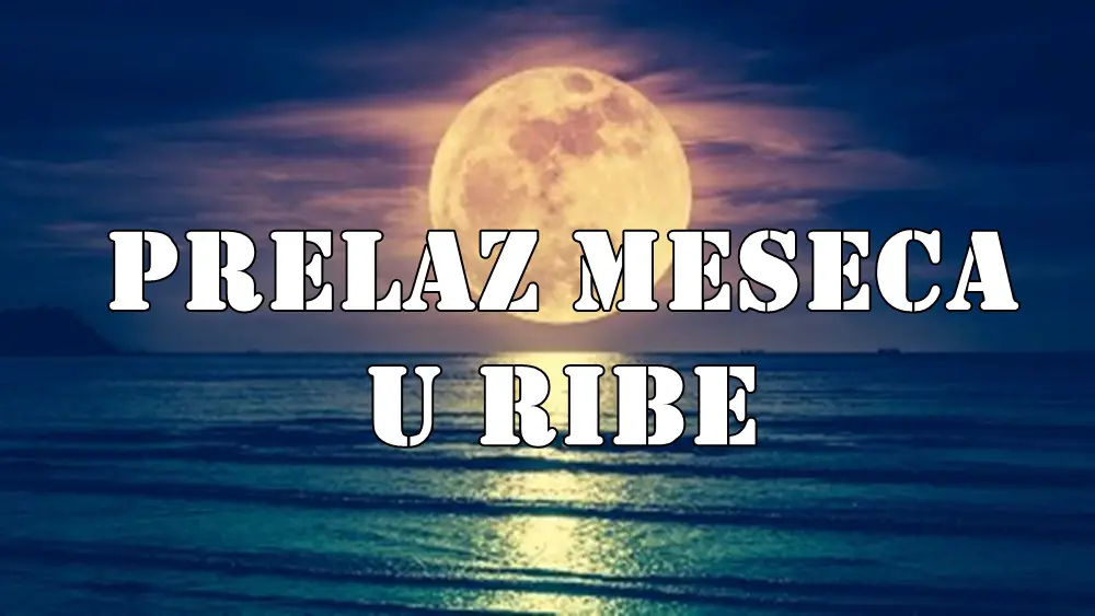 Vodič za uticaj Meseca u Ribama (14. i 15. maj 2025) za sve znakove zodijaka, uključujući emocije, unutrašnja buđenja, karmičke uvide! Vodič za uticaj Meseca u Ribama (14. i 15. maj 2025) za sve znakove zodijaka, uključujući emocije, unutrašnja buđenja, karmičke uvide!
