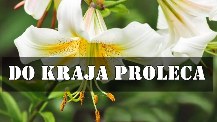 Evo veoma opširnog, sudbinskog i duboko emotivnog horoskopa za sve znakove zodijaka do kraja proleća (do 20. juna 2025.)