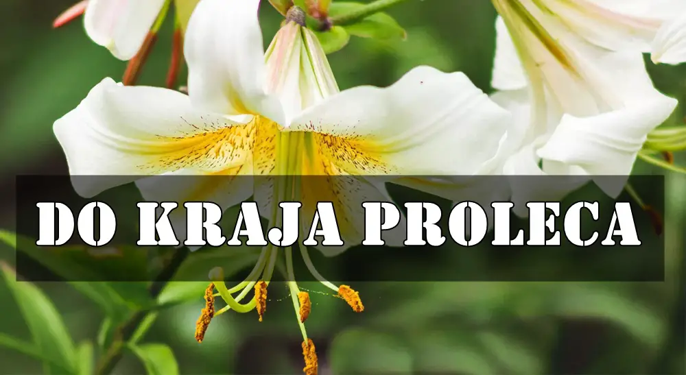 Evo veoma opširnog, sudbinskog i duboko emotivnog horoskopa za sve znakove zodijaka do kraja proleća (do 20. juna 2025.) Evo veoma opširnog, sudbinskog i duboko emotivnog horoskopa za sve znakove zodijaka do kraja proleća (do 20. juna 2025.)