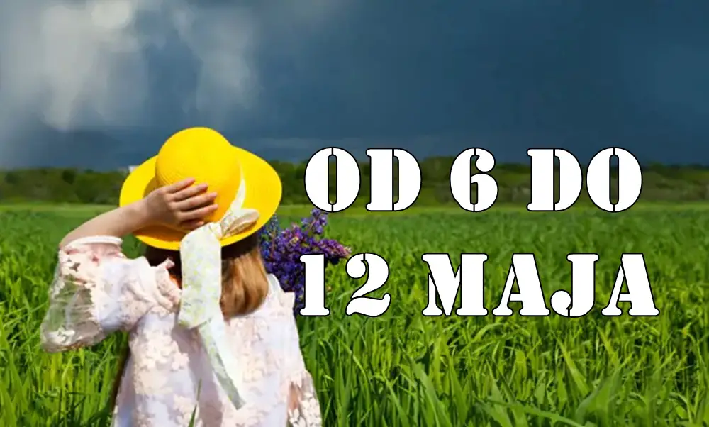Od 6 do 12 maja:Ova nedelja donosi prekretnice, jasnoću i susrete koji menjaju pravila. Od 6 do 12 maja:Ova nedelja donosi prekretnice, jasnoću i susrete koji menjaju pravila.