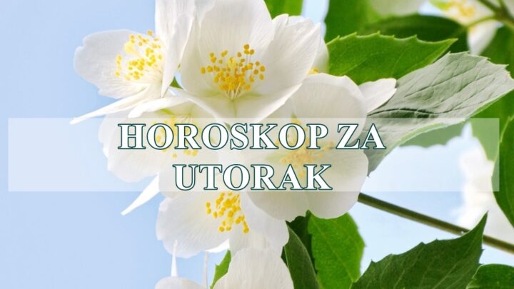Horoskop za utorak za sve znake zodijaka.