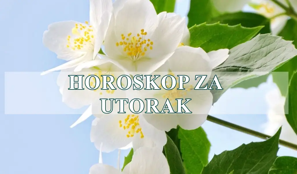 Horoskop za utorak za sve znake zodijaka. Horoskop za utorak za sve znake zodijaka.
