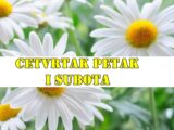 Evo opširnog horoskopa za četvrtak, petak i subotu (23, 24. i 25. maj 2025) za sve horoskopske znakove