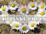 Maj 2025. je mesec u kom mnogi karmički dugovi bivaju otplaćeni, mnoga srca zaceljena, mnoge veze obnovljene.