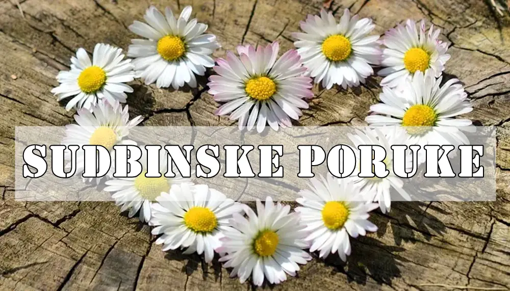 Maj 2025. je mesec u kom mnogi karmički dugovi bivaju otplaćeni, mnoga srca zaceljena, mnoge veze obnovljene. Maj 2025. je mesec u kom mnogi karmički dugovi bivaju otplaćeni, mnoga srca zaceljena, mnoge veze obnovljene.