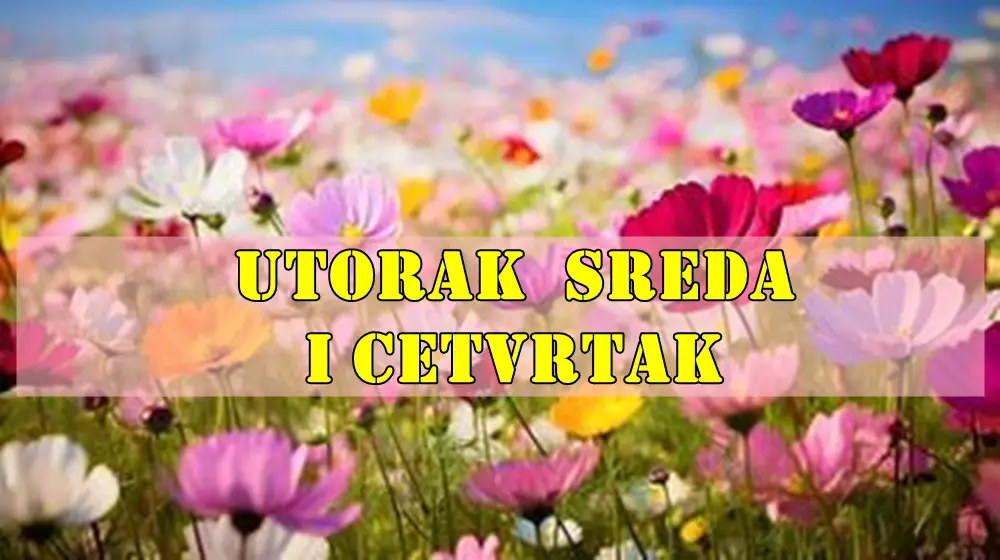 Horoskop za Utorak (27. maj), Sredu (28. maj) i Četvrtak (29. maj) 2025. Horoskop za Utorak (27. maj), Sredu (28. maj) i Četvrtak (29. maj) 2025.