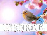 Evo veoma opširnog dnevnog horoskopa za utorak, 13. maj 2025. za sve znakove zodijaka.
