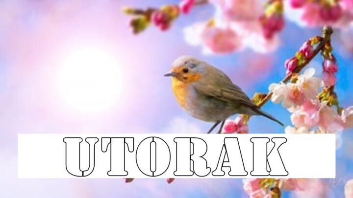 Evo veoma opširnog dnevnog horoskopa za utorak, 13. maj 2025. za sve znakove zodijaka.