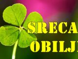 SREĆA I OBILJE U SVIM OBLICIMA Jarac, Lav i RIBE – ovaj vikend doživljavaju uspjehe koje su čekali cijeli život!