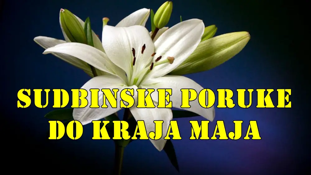 Sudbinske poruke do kraja maja za sve znake zodijaka. Sudbinske poruke do kraja maja za sve znake zodijaka.