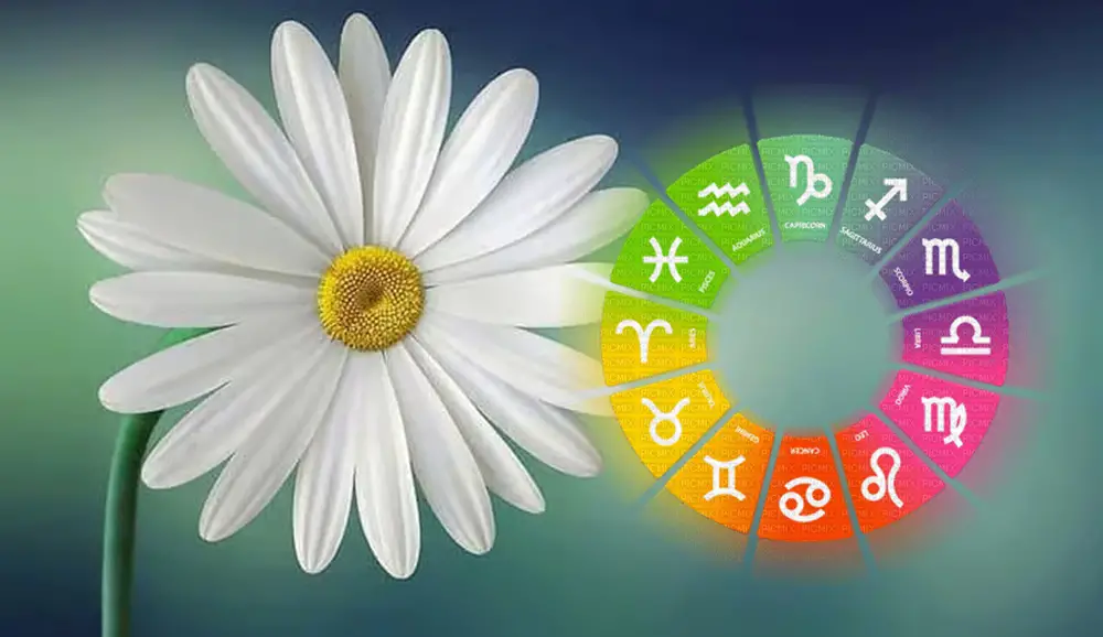 VREME ISTINE dolazi za ova tri znaka zodijaka. VREME ISTINE dolazi za ova tri znaka zodijaka.