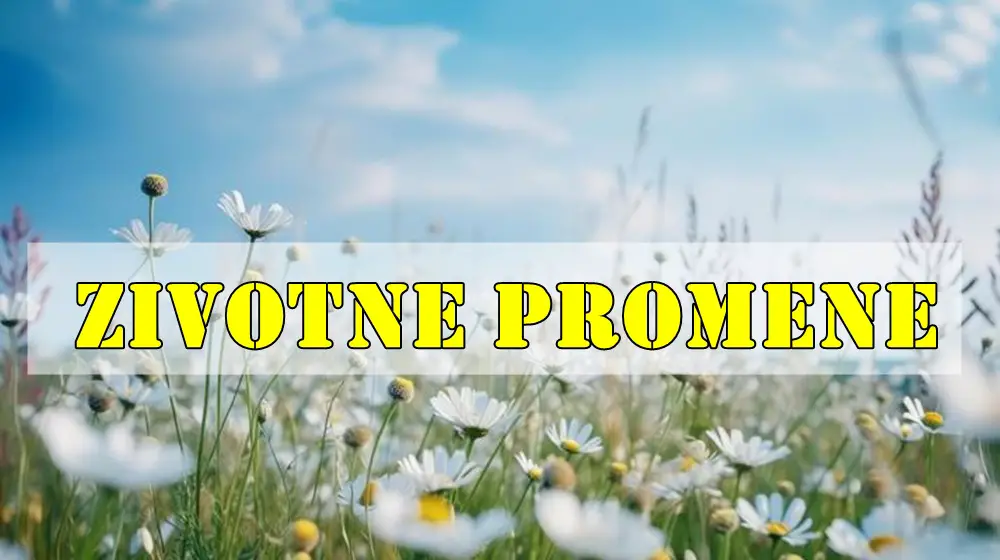 Ped ovim znacima zodijaka tokom juna su velike zivotne promene. Ped ovim znacima zodijaka tokom juna su velike zivotne promene.