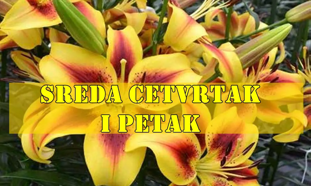 Evo opširnog i potpuno originalnog horoskopa za sredu, četvrtak i petak – 21, 22. i 23. maj 2025 Evo opširnog i potpuno originalnog horoskopa za sredu, četvrtak i petak – 21, 22. i 23. maj 2025