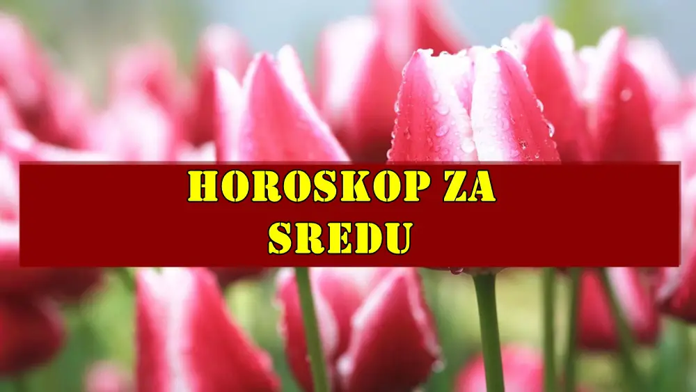 Sreda, 28. maj 2025., donosi naglašenu potrebu za komunikacijom i rešavanjem nagomilanih stvari. Sreda, 28. maj 2025., donosi naglašenu potrebu za komunikacijom i rešavanjem nagomilanih stvari.