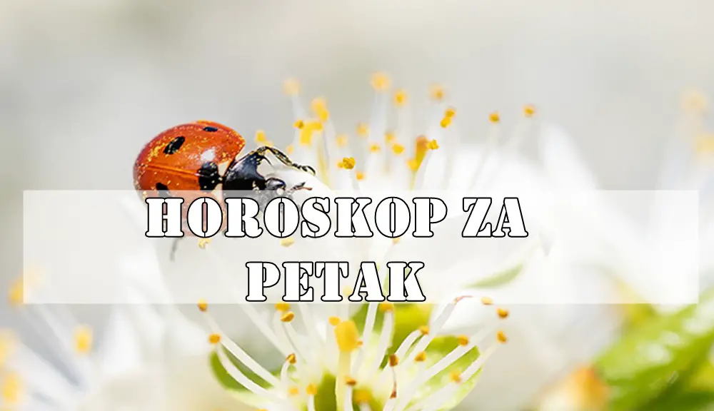 Današnja energija nosi snažnu potrebu za iskrenošću, unutrašnjim čišćenjem i emocionalnim razjašnjenjima Današnja energija nosi snažnu potrebu za iskrenošću, unutrašnjim čišćenjem i emocionalnim razjašnjenjima